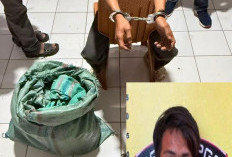 Petani Kopi di Pagaralam Diikat dan Dirampok, Kerugian Capai  Rp100 Juta Lebih
