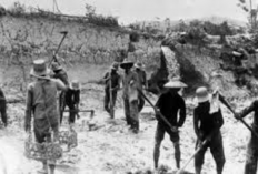 Yuk Kenali Sejarah Tambang Timah di Bangka Belitung, Ternyata Sudah Ada Sejak... 