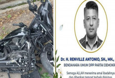 Kecelakaan Moge di Situbondo, Bendum Partai Demokrat Renville Antonio Meninggal Dunia, Begini Kronologinya 