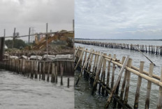 Komisi IV DPR RI Pertimbangkan Pansus untuk Masalah Pagar Laut di Bekasi dan Tangerang