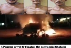 Massa Bakar Mobil Pencuri  Sawit, 3 Pelakunya Babak Belur