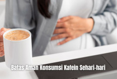 Minum Kopi Tidak Akan Bikin Asam Lambung, Ini Batas Aman Konsumsi Kafein Sehari-hari!