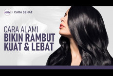Wow, Inilah 4 Cara Membuat Rambut Lebat dan Sehat Cuma Pakai Bahan Alami Lho, Yuk Langsung Cobain Girls 