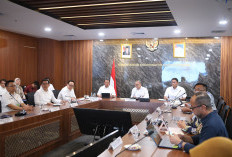 Butuh 120 Ribu Ton Daging Saat Ramadhan dan Lebaran, Kementan Jamin Stok Daging Aman: Kita Impor!