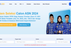 Ada Nama Nurul, Muhammad dan Asep, Ini 69 Link dan Cara Cek Pengumuman Hasil SKD CPNS 2024 Terbaru
