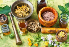 7 Tanaman Obat yang Wajib Ada di Rumah, Salah Satunya Dapat Menurunkan Gula Darah Lho