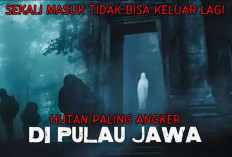Bukan Sekadar Legenda! Simak 7 Hutan Paling Angker dan Penuh Cerita Mistis di Pulau Jawa 
