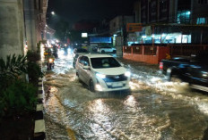 Siaga!  Petaka Banjir, Longsor serta Puting Beliung, BPBD Deteksi 42 Hotspot Karhutla