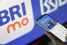 Jangan Panik, 7 Cara Buka Blokir BRImo Tanpa Harus ke Bank, Simak di Sini