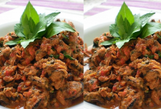 Resep Kerang Tumis Pedas Rumahan, Praktis, Enak, Pencinta Pedas Wajib Coba!