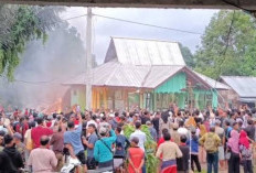 Marah! Warga Kembali Diterkam Harimau,  Ratusan Orang Anarkis Bakar Kantor PPA... 
