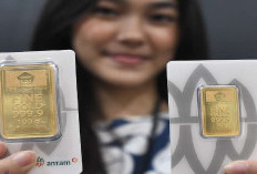 Cuan Menguap Seketika! Emas Dunia Ambruk 2 Hari, Harga Antam Ikutan Terkapar!