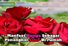 Tanam Tanaman Ini di Pekarangan Rumah, Ampuh Jadi Penangkal Sihir