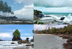 Liburan Seru di Pesisir Barat Lampung! 4 Pantai Cantik dengan Pemandangan yang Eksotis  Banget