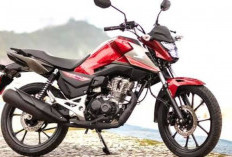Dipoles Lebih Premium, Honda Resmi Luncurkan Motor Sport 150 CC di Harga Rp 66 Jutaan, Libas Bensin dan Etanol