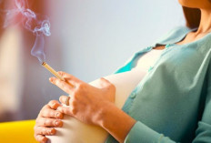 Benarkah Merokok Sebabkan Mandul dan Rusaknya Kualitas Sperma? Simak Lebih Jelasnya Disini!