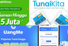 Langsung Cair ke DANA! 4 Pinjaman Online Tanpa KTP yang Cepat, Mudah dan Tanpa Ribet, Yuk Ajukan Sekarang 