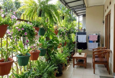 Kebun Buah Mini Rumah Subsidi Type 27: Ide Kreatif untuk Panen Segar Setiap Hari
