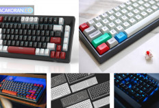 Referensi WFA! Berikut Tips Memilih Keyboard Sesuai Gaya dan Produktivitas Kamu!