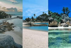 Bangka Menawarkan 3 Pantai Eksotis yang Akan Memikat Mata dengan Keindahan Alam yang Memukau!