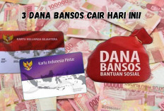 Harus Gercep! 3 Bansos Bakal Cair Hari Ini, Segera Cek Nama dan Jadwal Pencairan Supaya Gak Hangus