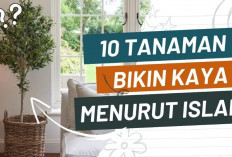 10 Tanaman Pembawa Rezeki Menurut Islam yang Tumbuh di Pekarangan Rumah, Cek Gais Siapa Tau Nanti Cuan Ngalir!