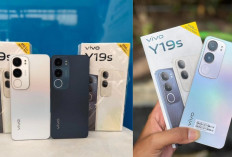 HP Murah Rasa Sultan! Vivo Y19s Harga Rp1 Jutaan dengan Baterai Jumbo dan Desain Stylish