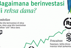 Cara Membangun Portofolio Investasi Reksa Dana untuk Pemula dari Nol Mulai Bulan Juli