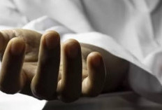 Sadis! Tante Tega Bunuh Keponakan Sendiri, Gegara Hal Sepele ini..