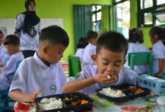 Penyebab Keracunan MBG di Bandung Barat Terungkap: Bakteri dari Makanan Karbohidrat