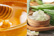 Bikin Segar dan Lembab, 3 Rekomendasi Pelembab Alami untuk Kulit Badan Kering Saat Berpuasa, Hanya 1 Bahan! 