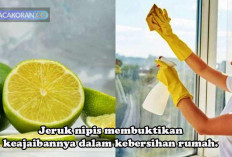 10 Manfaat Jeruk Nipis sebagai Pembersih Rumah Alami? Yuks Simak Disini