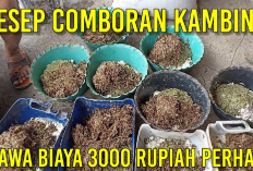 10 Cara Membuat Comboran untuk Pakan Kambing, Inovasi Dalam Pemeliharaan Ternak yang Perlu Kamu Ketahui!