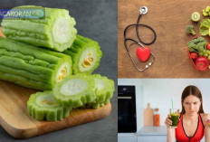 Pare dapat Menurunkan Kadar Gula Darah, Benarkah? Begini Penjelasannya