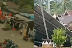 Tanggamus Dilanda Bencana! Gempa dan Angin Kencang Rusak Rumah Warga