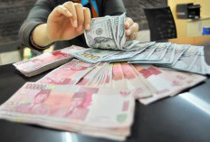 Langkah BI Ini Berhasil Buat Rupiah Kembali Perkasa Hajar Dolar AS