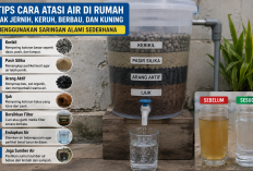 7 Tips Mengatasi Air Rumah Keruh dan Bau dengan Saringan Alami yang Mudah Dibuat