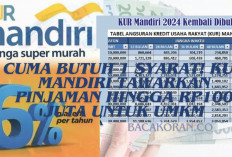 Cuma Butuh 1 Syarat! KUR Mandiri Tawarkan Pinjaman hingga Rp100 Juta untuk UMKM, Kok Bisa? Yuk Cek Disini Gais