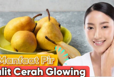 5 Manfaat Luar Biasa Buah Pir, Dari Pencernaan Hingga Kulit Bercahaya, Yuk Mulai Hidup Sehat!