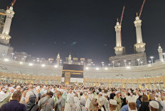 394 Jamaah Haji Meninggal, Dominasi Lansia, Terbanyak Dari Kota Ini