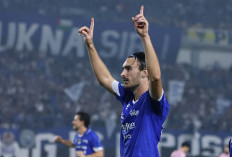 Persib Jauhi Kejaran Borneo FC dan Persija, Auto Hat-trick Juara?