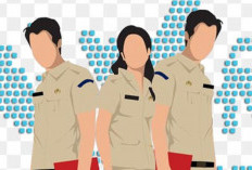 Pantengin dan Jangan Salah Pilih, Formasi CPNS yang Paling Banyak Peminat, Persaingan Makin Ketat!