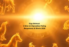 Siap Melesat! 3 Shio Ini Diprediksi Paling Berpotensi di Bisnis 2026