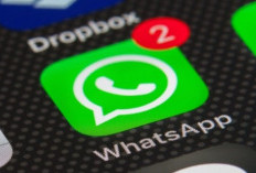 Cara Matikan Dering Telepon WhatsApp dari Nomor Tak Dikenal, Biar Nggak Ganggu Lagi!