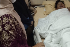 Pulang Bimbing KKN, Guru Besar UIN Raden Fatah Ditabrak Travel Lalu Ditinggal Kabur