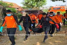 Innalillahi, Warga Makassar Heboh Atas Temuan Kerangka Manusia di Bawah Pohon Pisang, Diduga Korban...