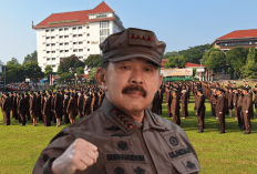 Korupsi Kena Mental! Kejagung Sukses Rebut 221 Ribu Hektare Kebun Sawit dan Lahan Adat dari Mafia