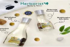 Bikin Awet Muda, Begini Cara Pakai Minyak Zaitun Herborits Untuk Usia 40 Tahun, Simak Di Sini! 