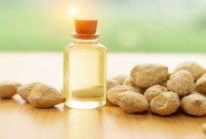 Bukan Cuman Rambut, Ini Manfaat Minyak Kemiri Untuk Kecantikan Kulit, Penasaran? Yuk Cek Di Sini.. 