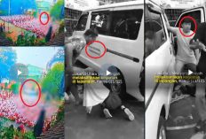 Ya Allah, Mobil MBG Nyelonong Lindas Puluhan Siswa SD yang Sedang Duduk di Lapangan Sekolah